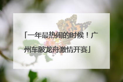 一年最热闹的时候！广州车陂龙舟激情开赛