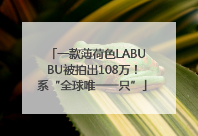 一款薄荷色LABUBU被拍出108万！系“全球唯一一只”