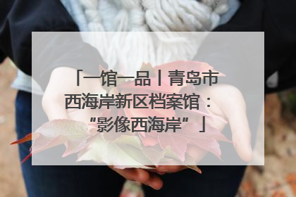 一馆一品丨青岛市西海岸新区档案馆：“影像西海岸”