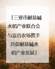 三亚市耐盐碱水稻产业联合会与袁谷农场携手 共促耐盐碱水稻产业发展