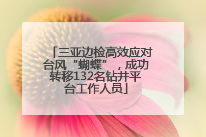 三亚边检高效应对台风“蝴蝶”，成功转移132名钻井平台工作人员