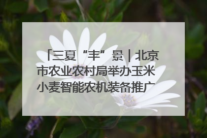 三夏“丰”景｜北京市农业农村局举办玉米小麦智能农机装备推广“田间日”活动