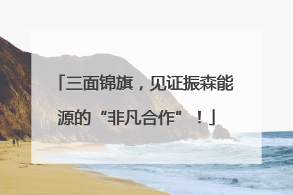 三面锦旗,见证振森能源的“非凡合作”!