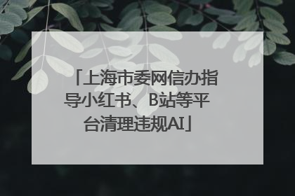 上海市委网信办指导小红书、B站等平台清理违规AI