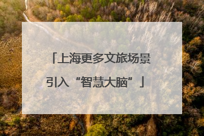 上海更多文旅场景引入“智慧大脑”