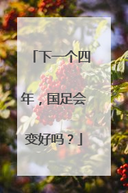 下一个四年，国足会变好吗？
