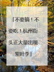 不要摘！不要吃！杭州街头正大量出现紫叶李