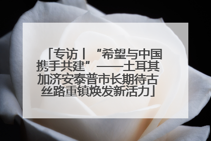 专访丨“希望与中国携手共建”——土耳其加济安泰普市长期待古丝路重镇焕发新活力