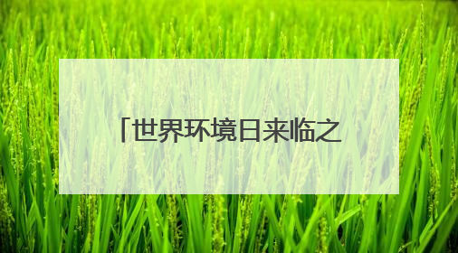 世界环境日来临之际，这家企业举办公众开放日活动邀请市民走进厂区
