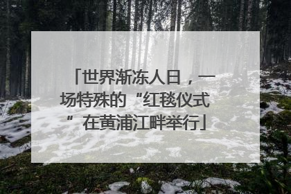世界渐冻人日，一场特殊的“红毯仪式”在黄浦江畔举行