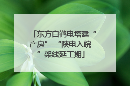 东方白鹳电塔建“产房” “陕电入皖”架线延工期