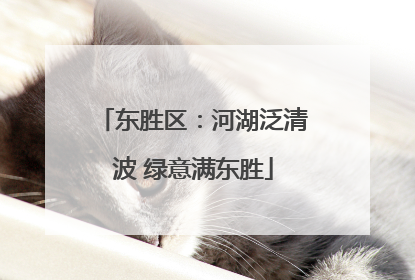 东胜区：河湖泛清波 绿意满东胜
