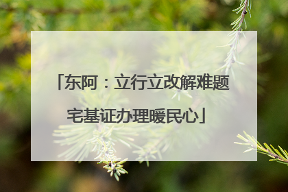 东阿：立行立改解难题 宅基证办理暖民心