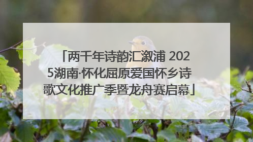 两千年诗韵汇溆浦 2025湖南·怀化屈原爱国怀乡诗歌文化推广季暨龙舟赛启幕