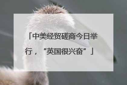 中美经贸磋商今日举行，“英国很兴奋”