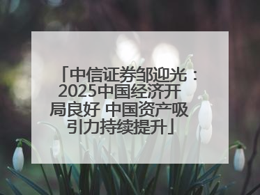 中信证券邹迎光：2025中国经济开局良好 中国资产吸引力持续提升