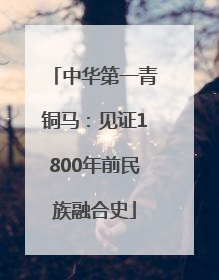 中华第一青铜马：见证1800年前民族融合史