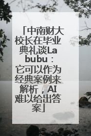 中南财大校长在毕业典礼谈Labubu：它可以作为经典案例来解析，AI难以给出答案