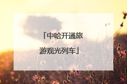 中哈开通旅游观光列车