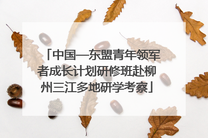 中国—东盟青年领军者成长计划研修班赴柳州三江多地研学考察
