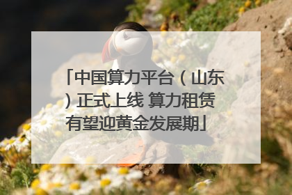 中国算力平台（山东）正式上线 算力租赁有望迎黄金发展期