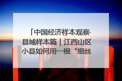 中国经济样本观察·县域样本篇｜江西山区小县如何用一根“细丝”拉出百亿级产业？