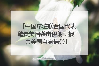 中国常驻联合国代表谴责美国袭击伊朗：损害美国自身信誉