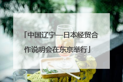 中国辽宁—日本经贸合作说明会在东京举行