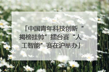 中国青年科技创新“揭榜挂帅”擂台赛“人工智能”赛在沪举办