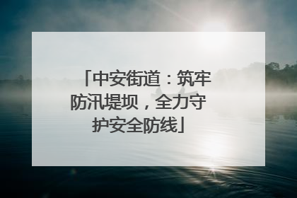中安街道：筑牢防汛堤坝，全力守护安全防线