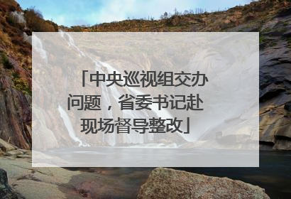 中央巡视组交办问题，省委书记赴现场督导整改