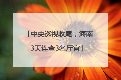 中央巡视收尾，海南3天连查3名厅官