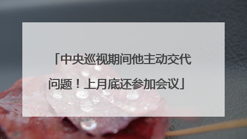 中央巡视期间他主动交代问题！上月底还参加会议