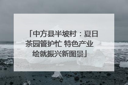中方县半坡村：夏日茶园管护忙 特色产业绘就振兴新图景