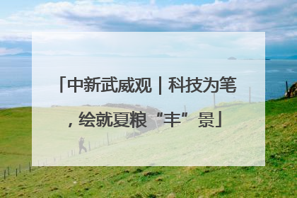 中新武威观｜科技为笔，绘就夏粮“丰”景