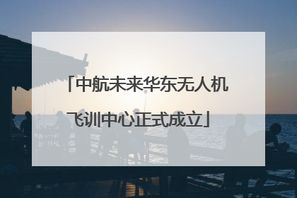 中航未来华东无人机飞训中心正式成立