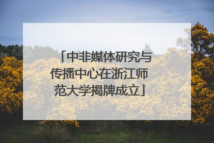 中非媒体研究与传播中心在浙江师范大学揭牌成立