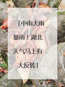 中雨大雨暴雨！湖北天气马上有大反转