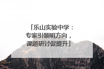 乐山实验中学：专家引领明方向，课题研讨促提升