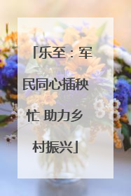 乐至：军民同心插秧忙 助力乡村振兴