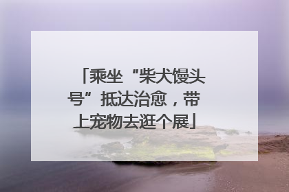 乘坐“柴犬馒头号”抵达治愈，带上宠物去逛个展