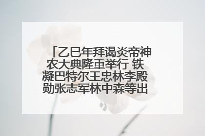 乙巳年拜谒炎帝神农大典隆重举行 铁凝巴特尔王忠林李殿勋张志军林中森等出席 孙伟主持