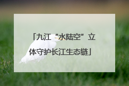 九江“水陆空”立体守护长江生态链