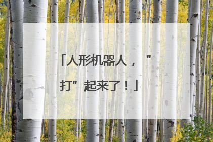 人形机器人，“打”起来了！