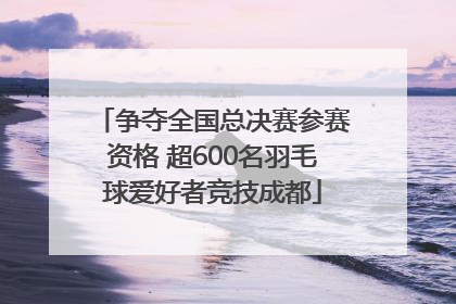 争夺全国总决赛参赛资格 超600名羽毛球爱好者竞技成都