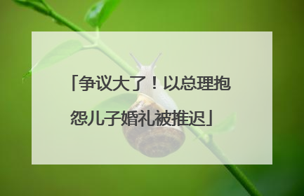 争议大了！以总理抱怨儿子婚礼被推迟