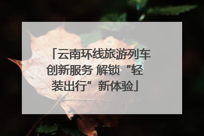 云南环线旅游列车创新服务 解锁“轻装出行”新体验