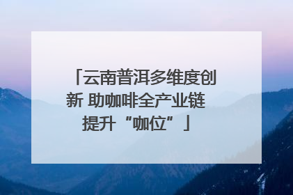 云南普洱多维度创新 助咖啡全产业链提升“咖位”