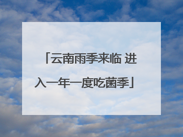 云南雨季来临 进入一年一度吃菌季