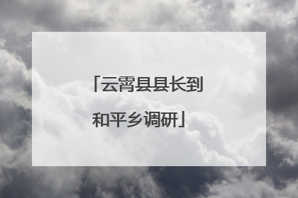 云霄县县长到和平乡调研